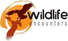 Wildlife Encounters