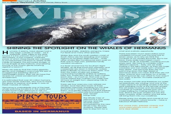 Hermanus Activities, Tours And Adventures