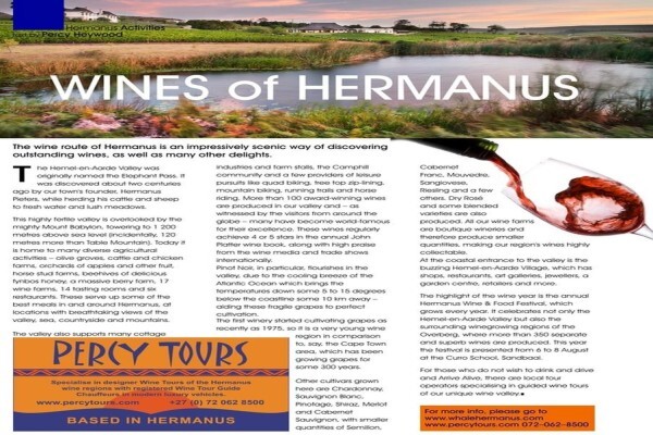 Hermanus Activities, Tours And Adventures