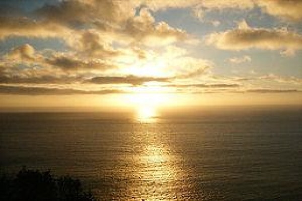 Born In Africa Tours And Transfers
