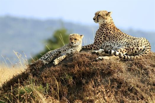 African Travel Gateway