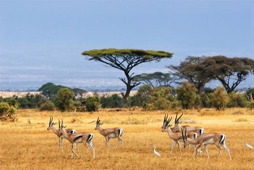 African Travel Gateway