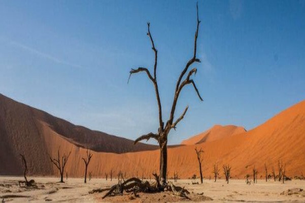 African Travel Gateway