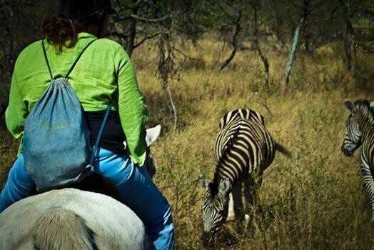 Harties Horse Trail Safaris