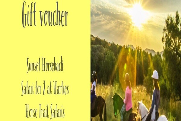 Harties Horse Trail Safaris
