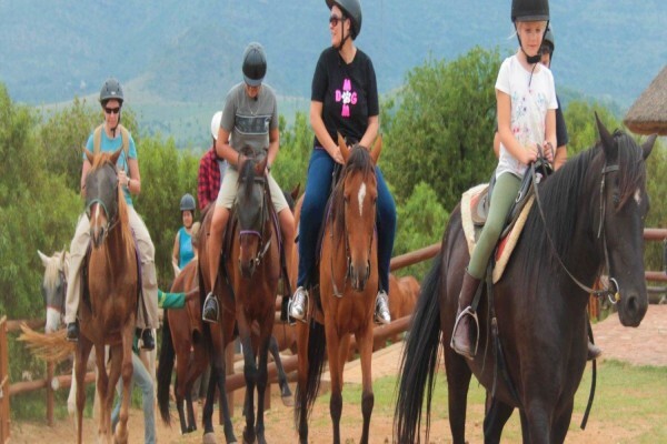 Harties Horse Trail Safaris