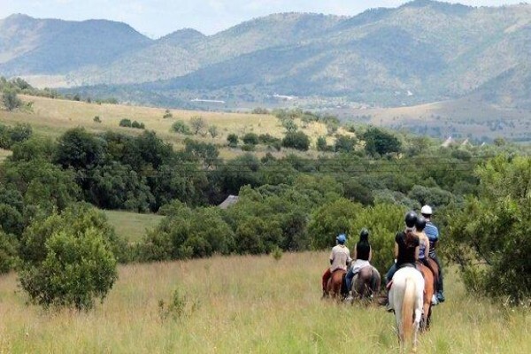 Harties Horse Trail Safaris