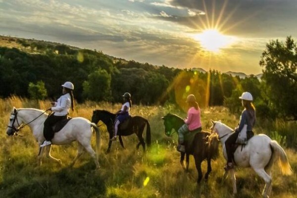 Harties Horse Trail Safaris