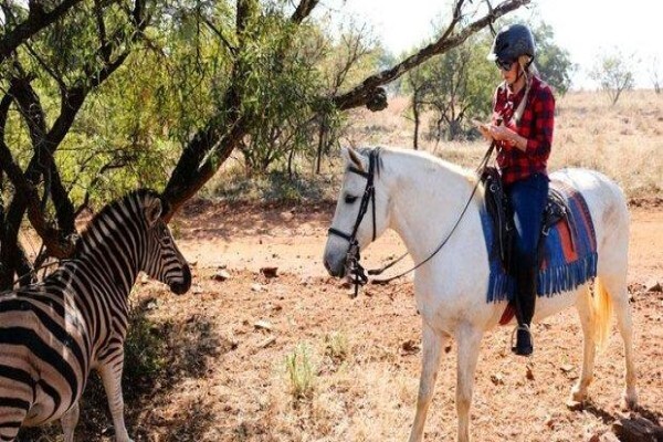 Harties Horse Trail Safaris
