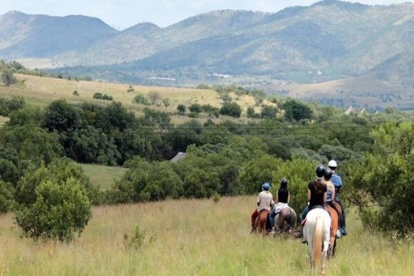 Harties Horse Trail Safaris