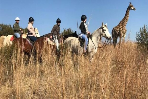 Harties Horse Trail Safaris