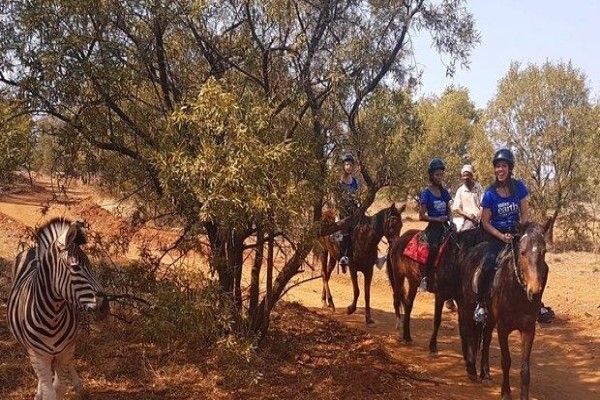 Harties Horse Trail Safaris