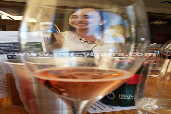 Hermanus Activities, Tours And Adventures