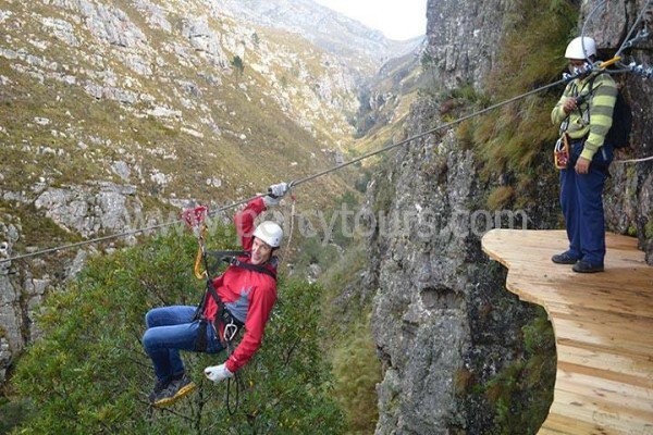 Hermanus Activities, Tours And Adventures