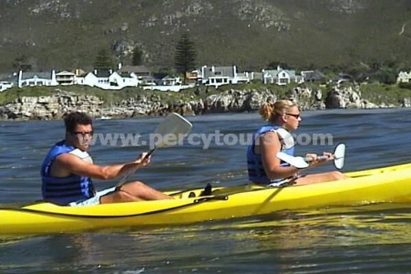 Hermanus Activities, Tours And Adventures