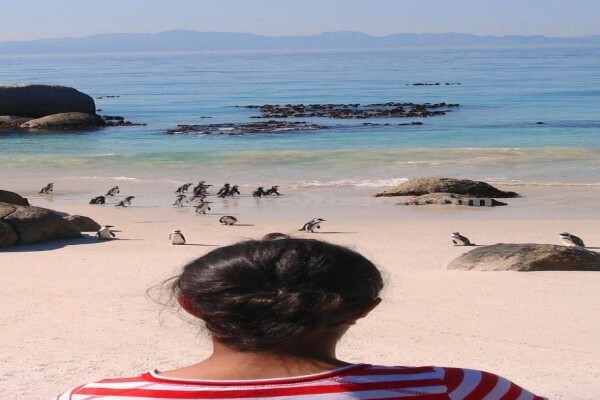 Hermanus Activities, Tours And Adventures