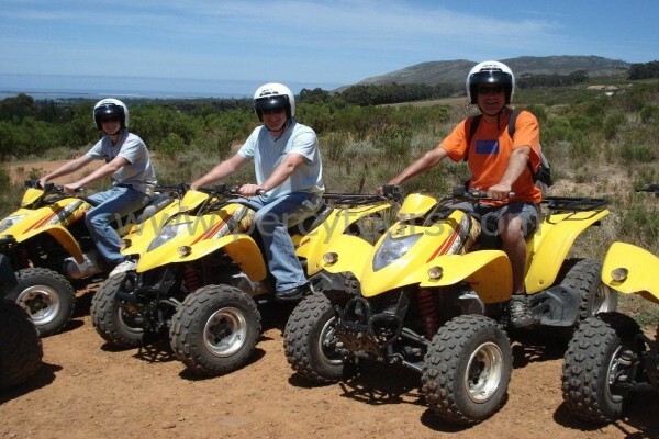 Hermanus Activities, Tours And Adventures
