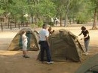 Jobovic Safaris