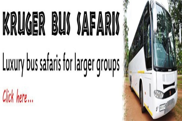 Summit Tours And Safaris