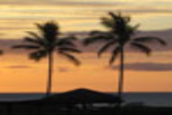 Summit Tours And Safaris