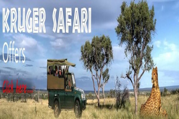 Summit Tours And Safaris