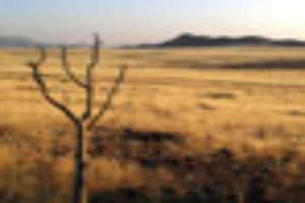Summit Tours And Safaris