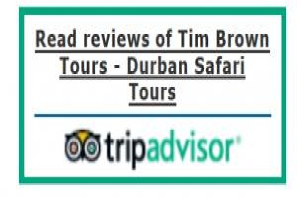 Tim Brown Tours
