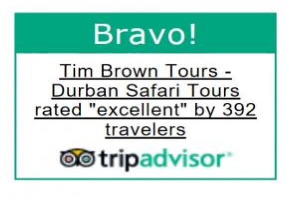 Tim Brown Tours