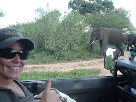Wildlife Encounters