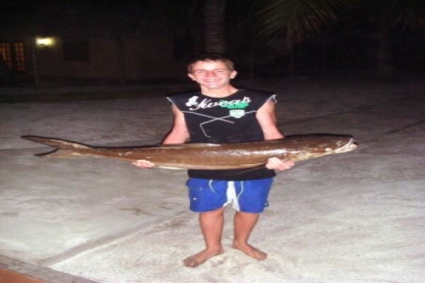 Wildlife Encounters