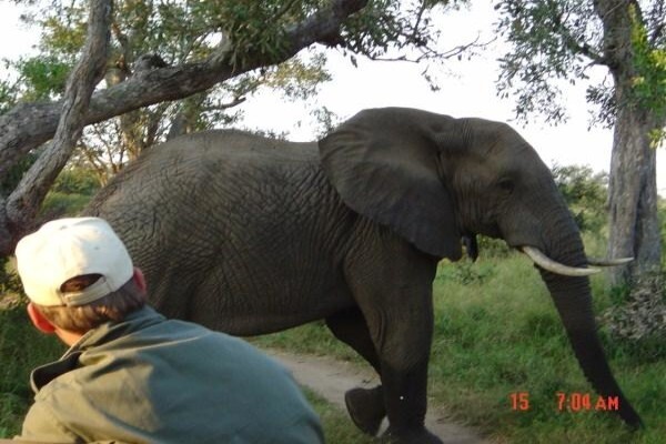 Wildlife Encounters