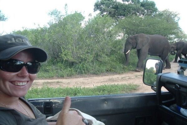 Wildlife Encounters