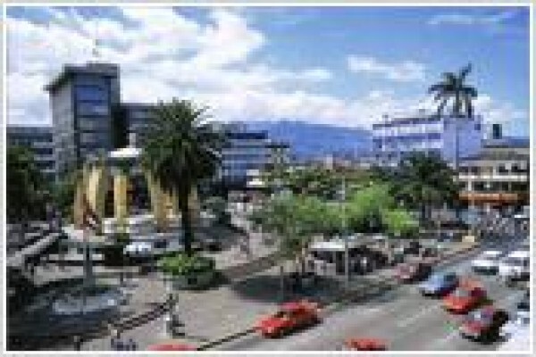 Book Hotels
