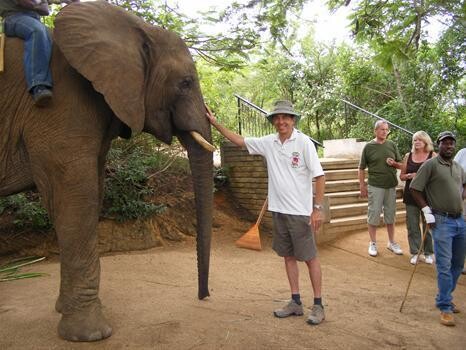 Bush Junkies Safaris