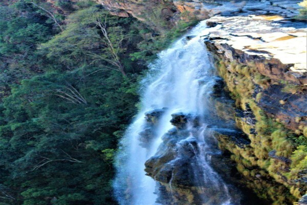 Gap Tours & Transfers