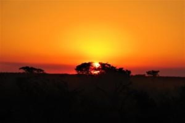 Gap Tours & Transfers