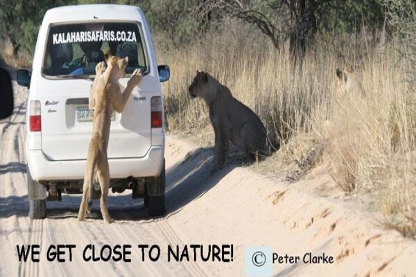 Kalahari Safaris