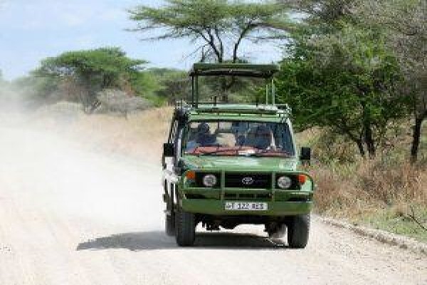 Kalahari Safaris