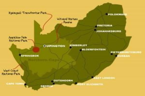 Kalahari Safaris