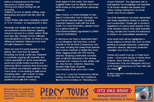 Percy Tours (And Transfers) Hermanus