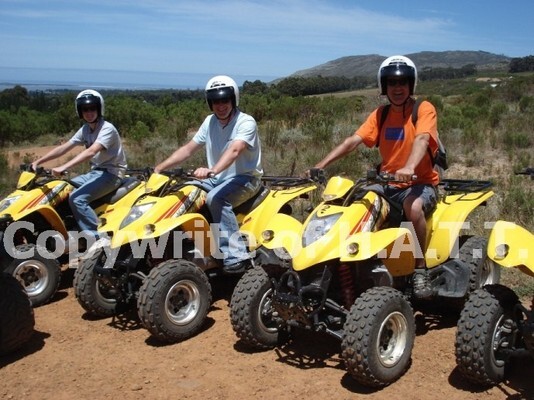Percy Tours (And Transfers) Hermanus