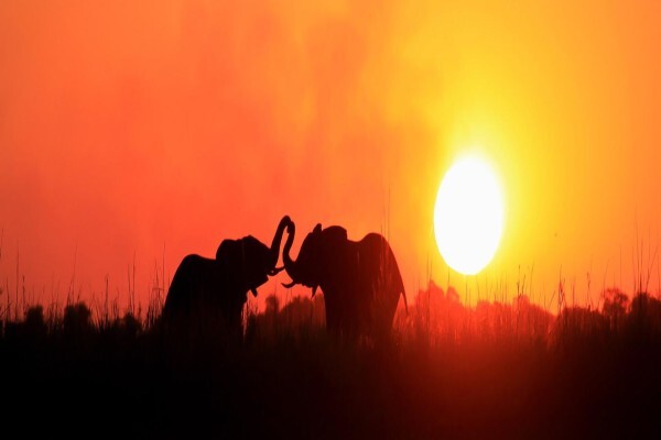 Sunway Safaris
