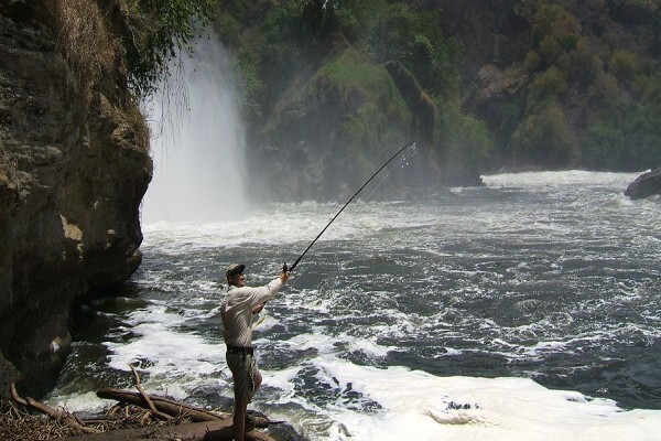 Wild Frontiers
