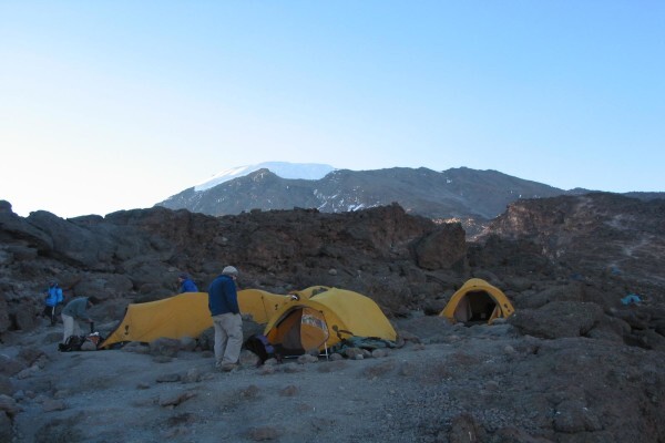 Wild Frontiers