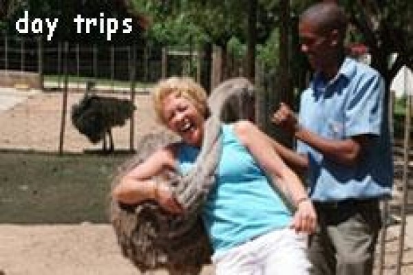 Adaro Tours
