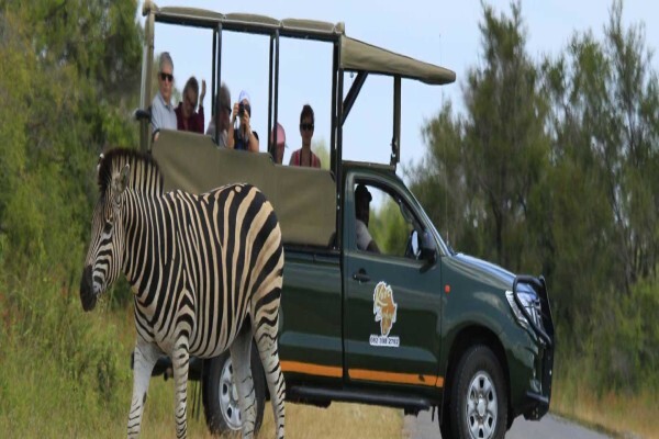 Kurt Safari