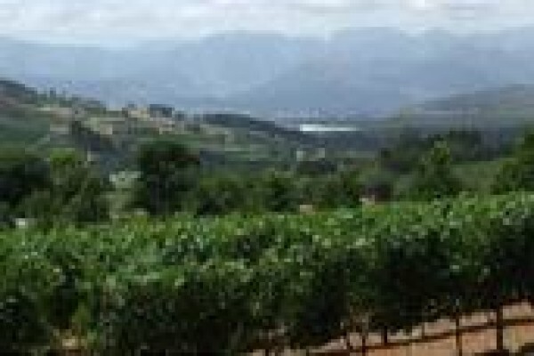 Adaro Tours