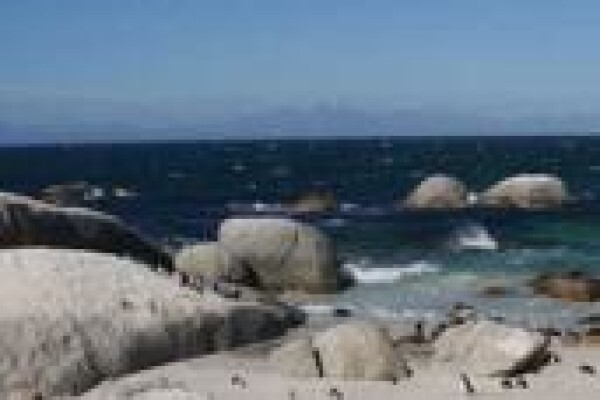 Adaro Tours
