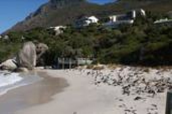 Adaro Tours