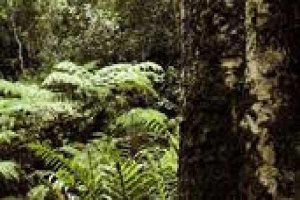 Adaro Tours